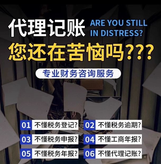 代理记账内帐外帐乱账整理报税做账算帐财务老会计做帐全国可接